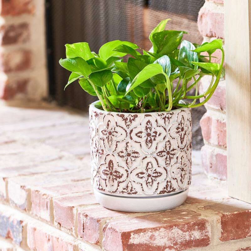Southern Patio French Rustic White Ceramic 5.9-inch Planter