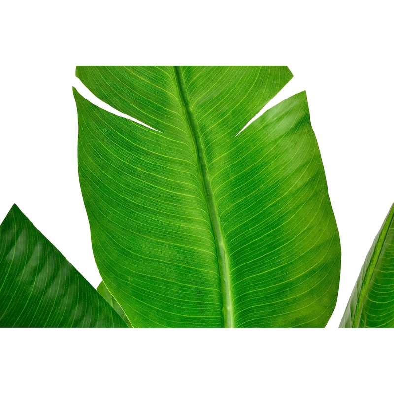 Artificial Banana Leaf Tree Bird Of Paradise in White Decor Pot
