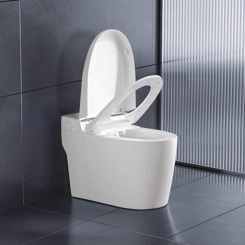 Topcraft Bathroom One Piece Toilet Smart Toilet with Warm Air Dryer Heated Seat
