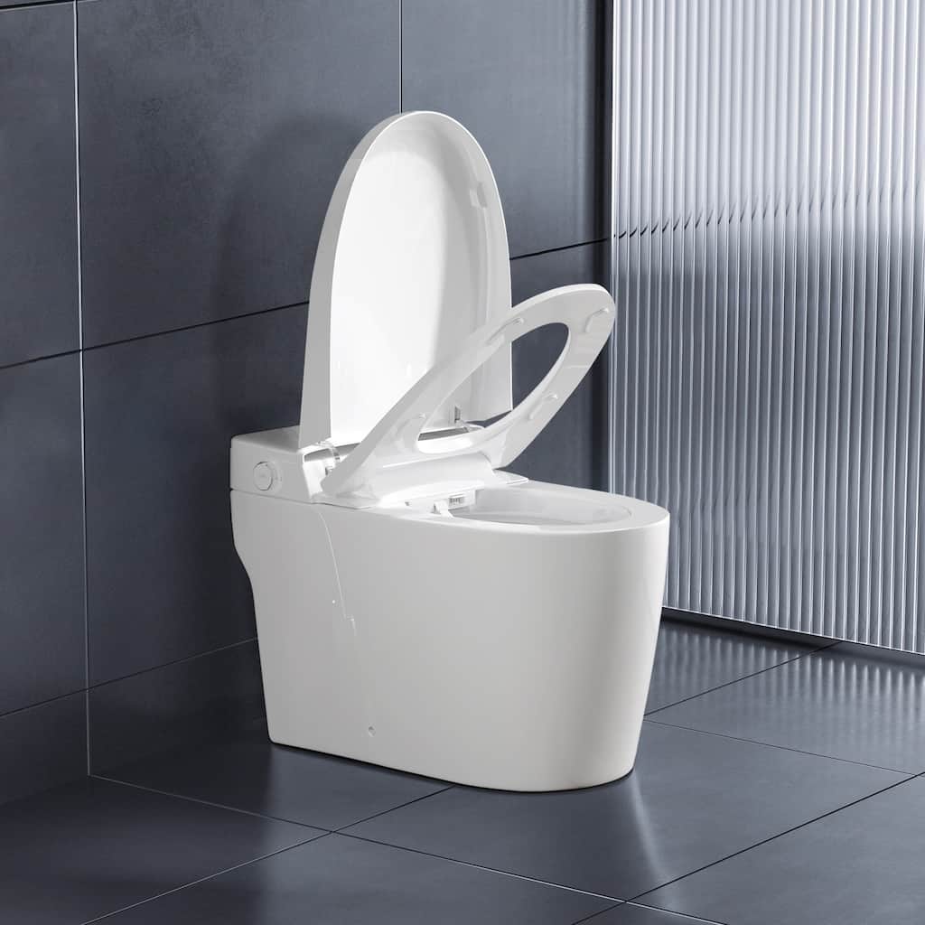 Topcraft Bathroom One Piece Toilet Smart Toilet with Warm Air Dryer Heated Seat