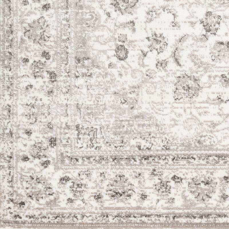 Livabliss Antonie Distressed Updated Traditional Area Rug