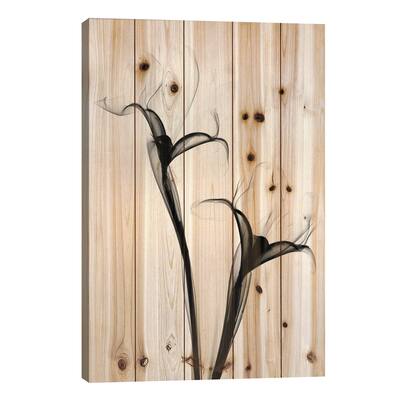 Two Irises I Print On Wood by Hong Pham - Multi-Color