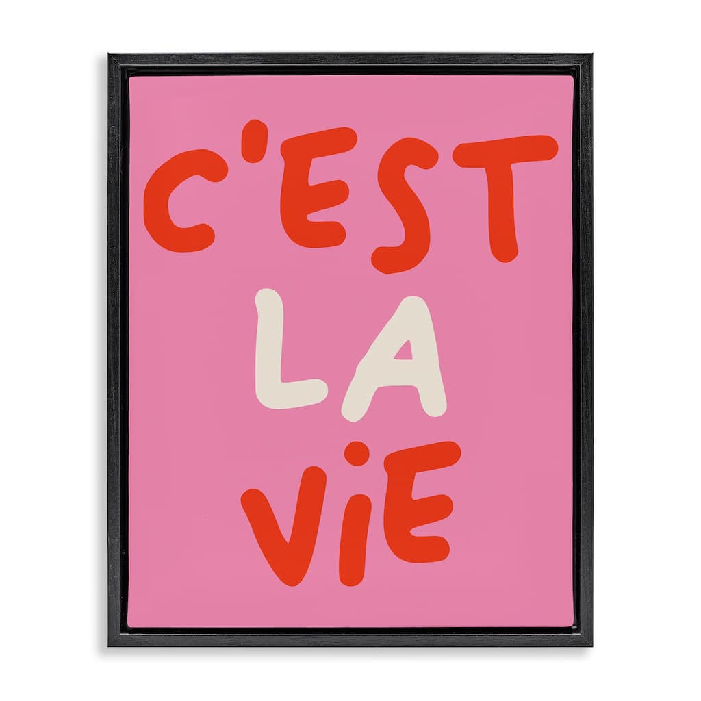 Stupell C'est La Vie on Pink Framed Floater Canvas Wall Art Design By House of Lulu