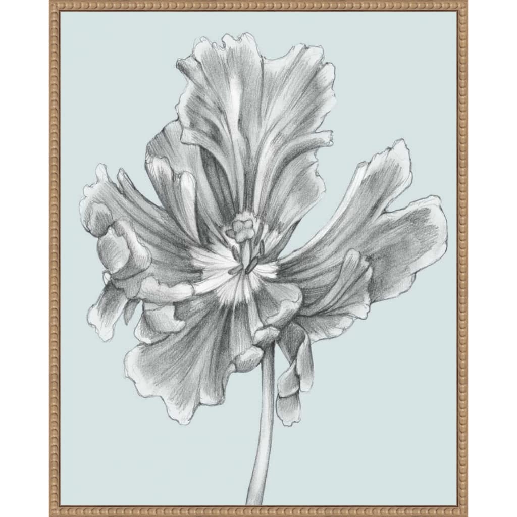 Silvery Blue Tulips No. 3 by Jennifer Goldberger (23 x 28 in.), Framed Canvas Wall Art Print