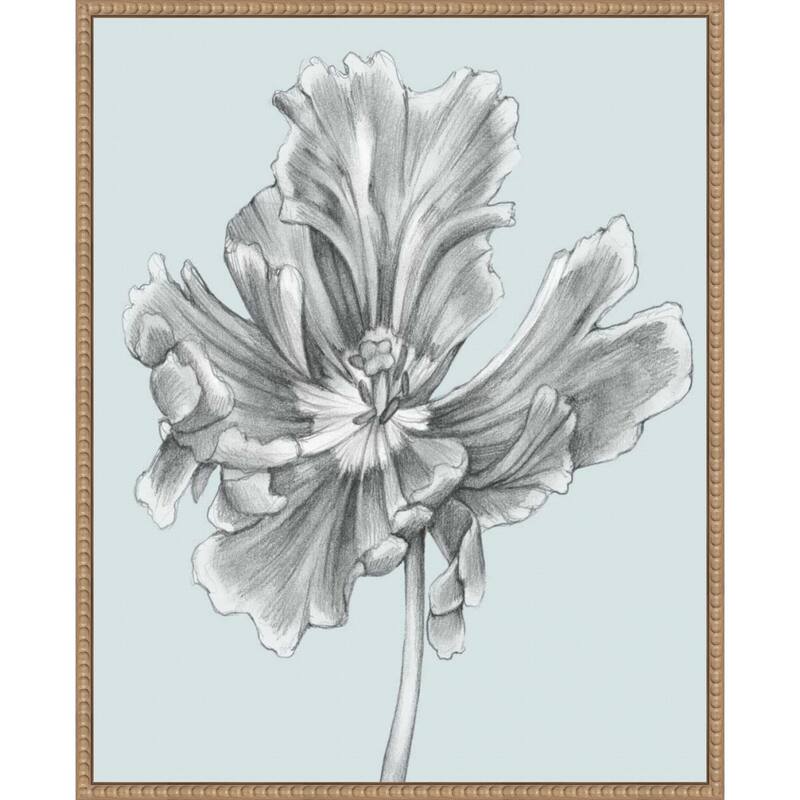 Silvery Blue Tulips No. 3 by Jennifer Goldberger (23 x 28 in.), Framed Canvas Wall Art Print
