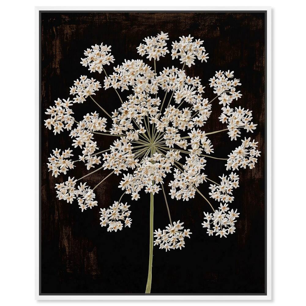 Umbel of Light I Canvas by Art Remedy