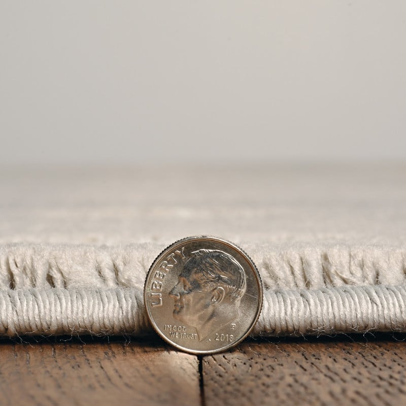 Allegra Blount Polka Dot Area Rug