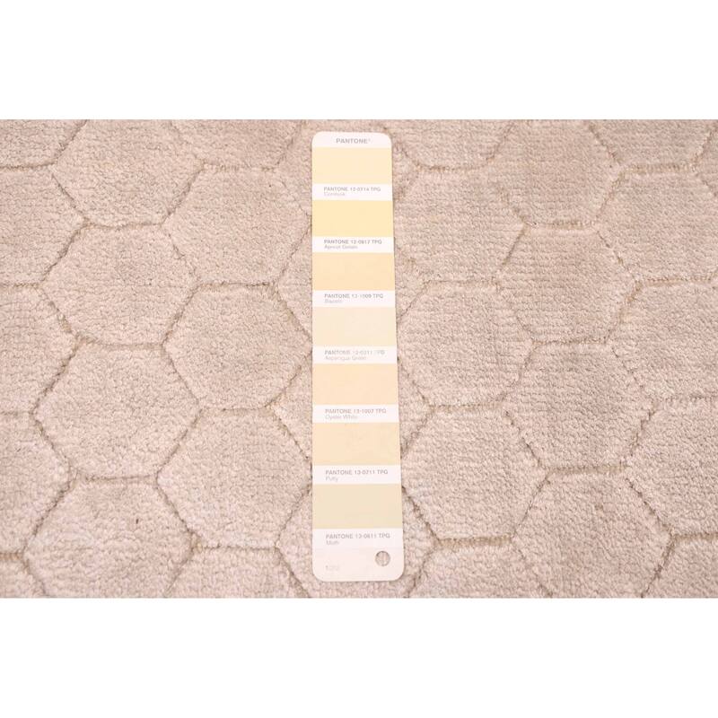 ECARPETGALLERY Hand Loomed Elysian Light Khaki Viscose Rug - 7'11 x 9'10