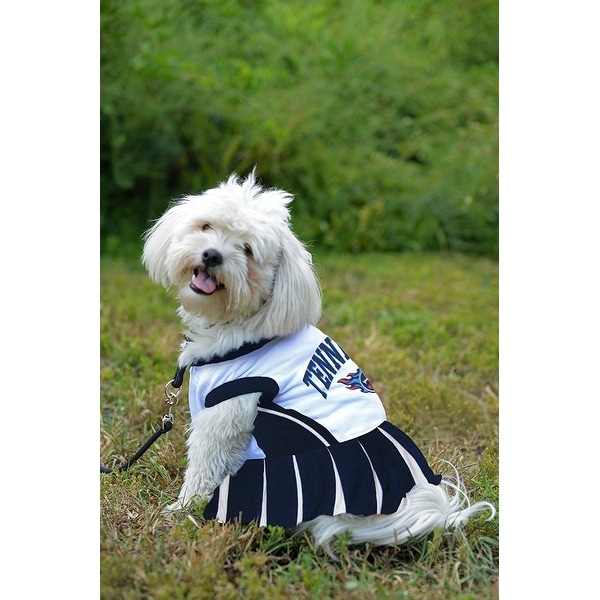 titans dog jersey