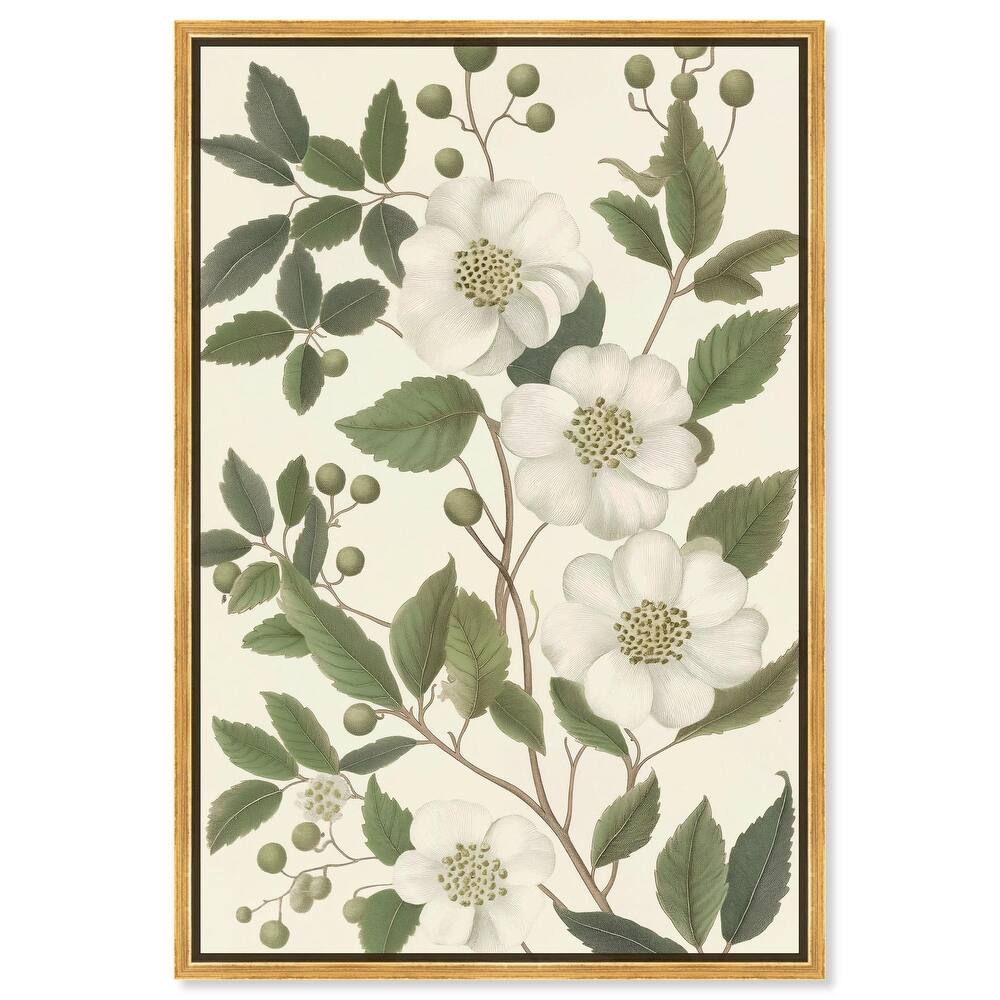 White Cherokee II Canvas by Art Remedy