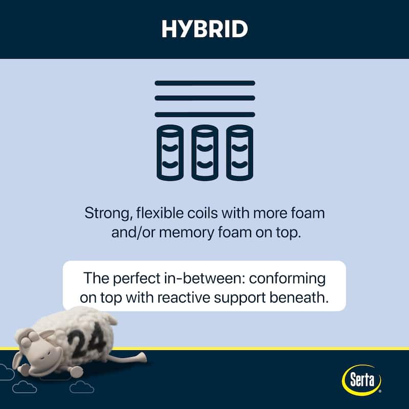 Serta Perfect Sleeper X Excelled 14.25" Hybrid Plush Mattress Set