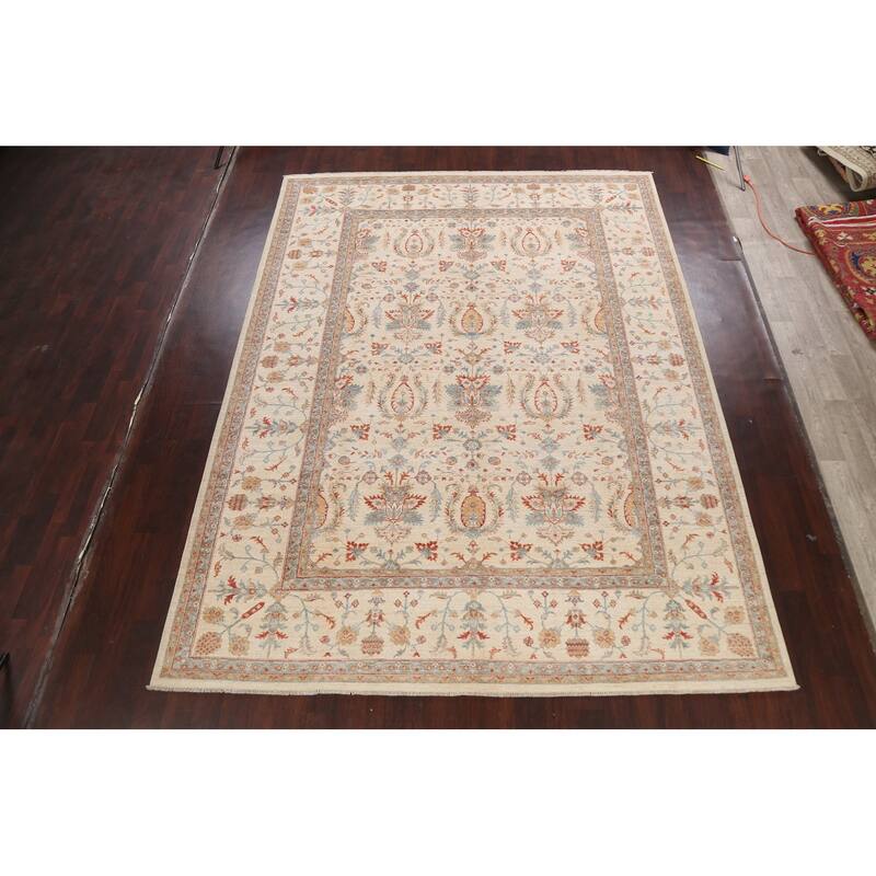 Vegetable Dye Sultanabad Ziegler Oriental Wool Area Rug Hand-knotted - 9'1" x 12'0"