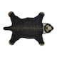 Option Black Bear