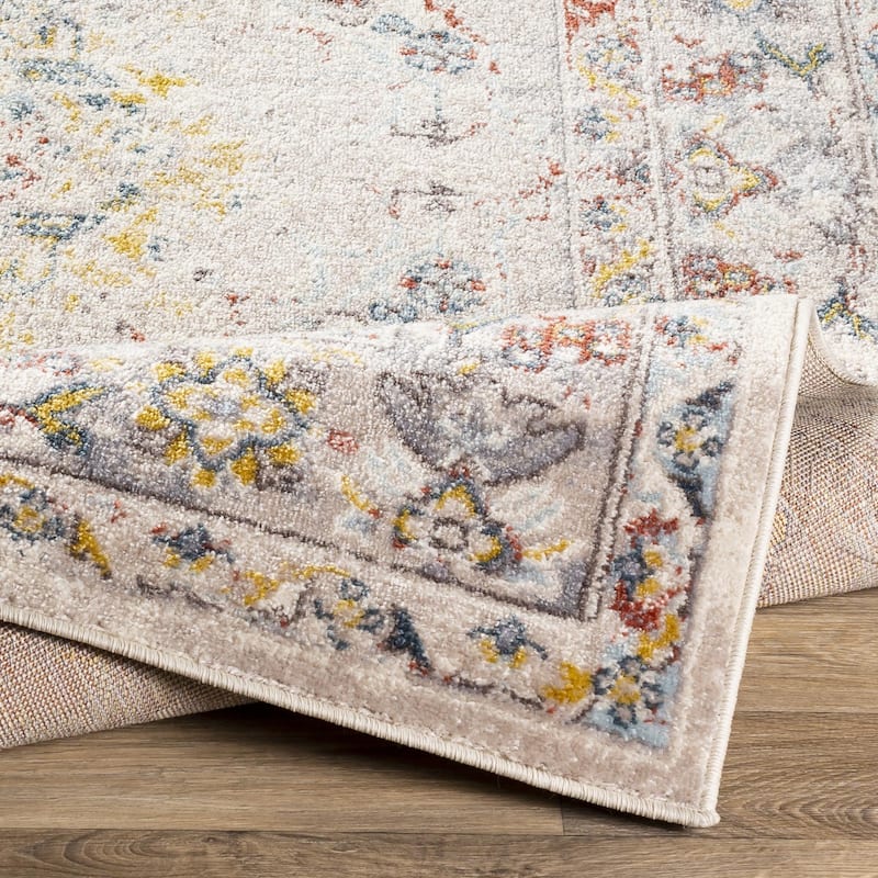 Livabliss Ankara Updated Traditional Medallion Area Rug