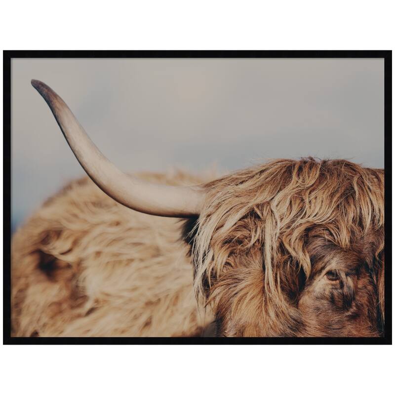 Kate and Laurel Highland Cow No. 4 Close by Laura Evans Framed Wall Art Print - 41 x 31 - Black