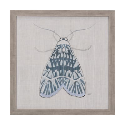 Moth Blue I Framed Art Print