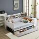 Option Antique White