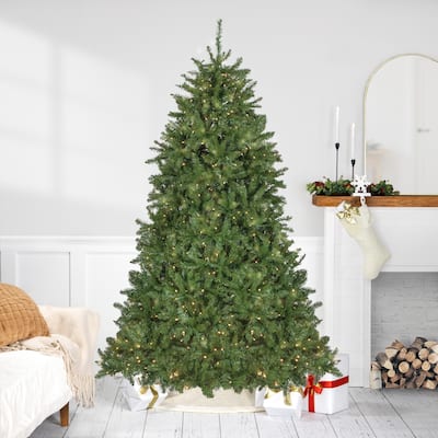 7.5' Pre-Lit Rockwood Pine Artificial Christmas Tree Clear LED Lights