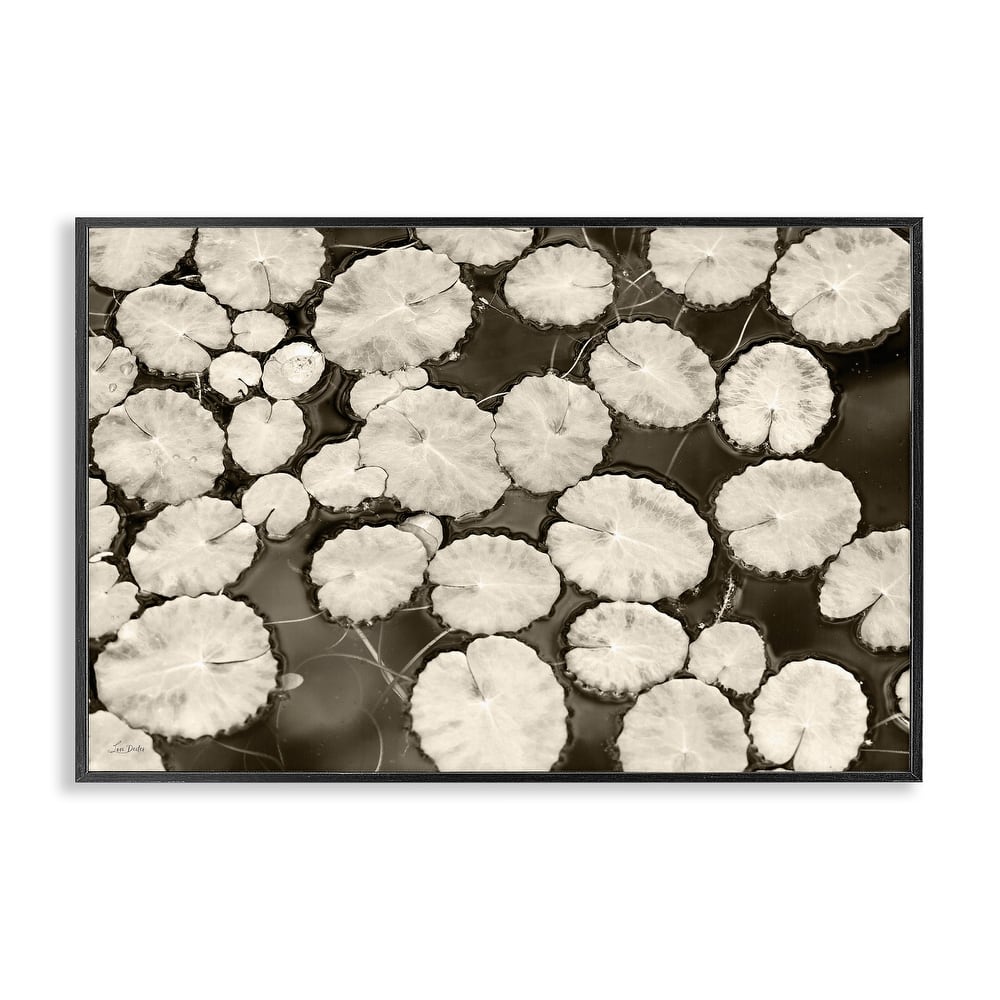 Stupell White Floating Lily Pads Framed Giclee Art Design By Lori Deiter