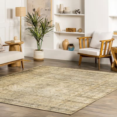 Nuloom Chana SpinClean Printed Framed Trellis Flatweave Area Rug