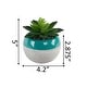 preview thumbnail 5 of 7, Succulent in Two tone lines pattern ceramic pot ,Teal - ONE-SIZE