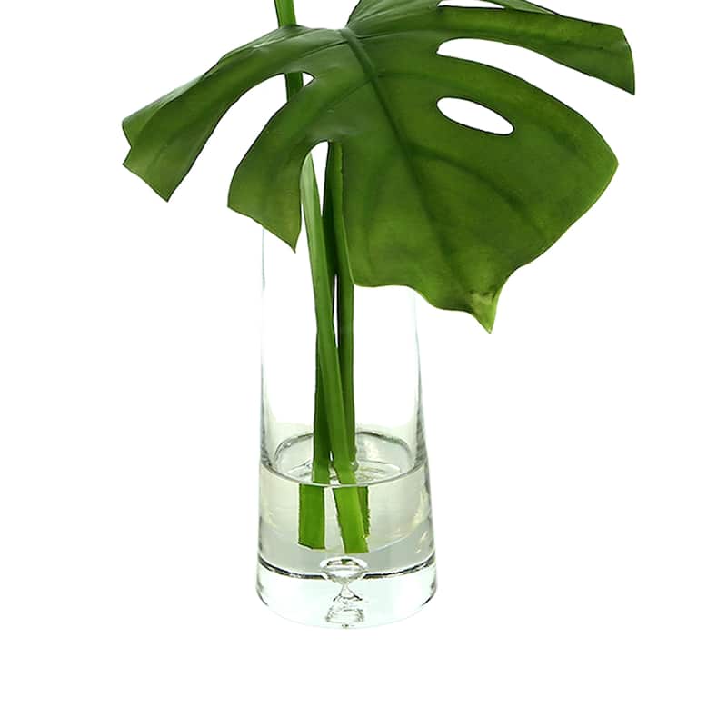 Organic Modern Split Philo Arranged in a Clear Glass Vase - Green