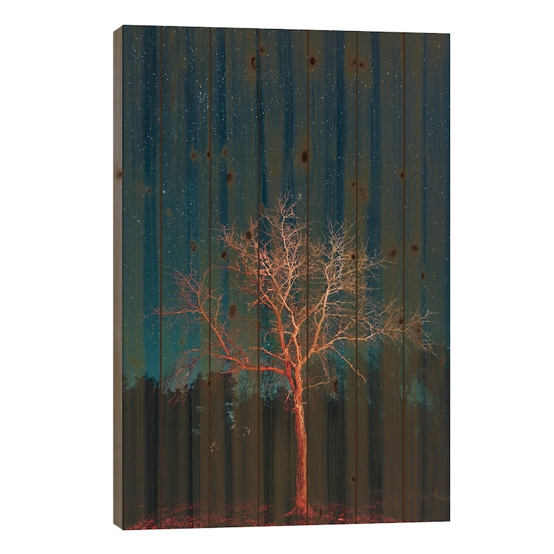 Illuminate II Print On Wood by Jon Bilous - Multi-Color - 26x18x1.5