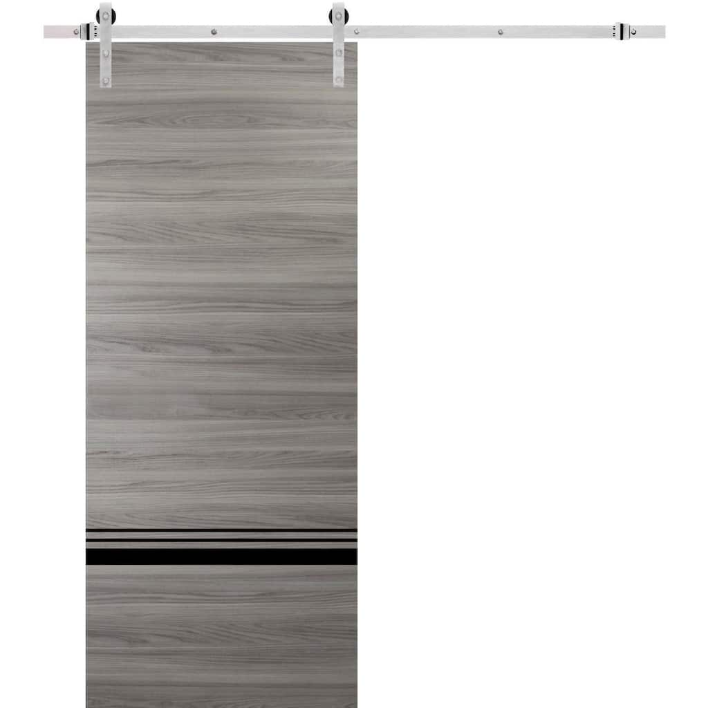 Sturdy Barn Door 36 x 80 Planum 0012 Grey Matte with 6.6FT