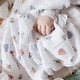 preview thumbnail 3 of 3, aden + anais essentials cotton muslin swaddle blanket 2 pack hogwarts essentials