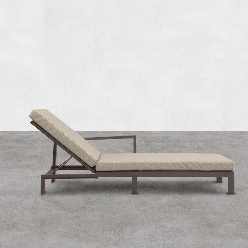 Benton Modern Aluminum Lounge Outdoor Double Chaise with Cushion