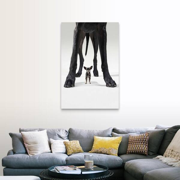 Shop Chihuahua Standing Beneath Great Dane Canvas Wall Art