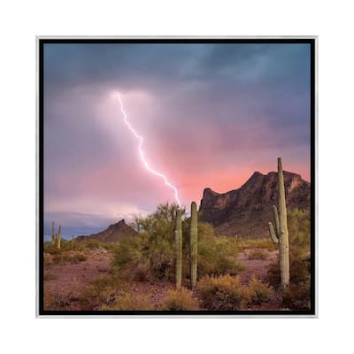 iCanvas "Saguaro Cacti With Lightning Over Peak In Desert, Picacho Peak State Park, Arizona" by Tim Fitzharris Framed