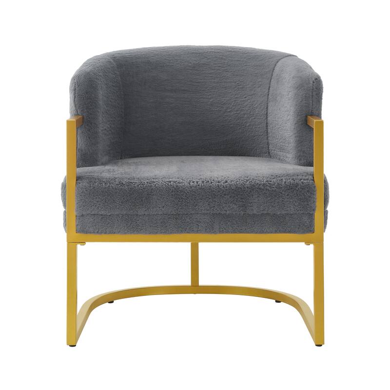 Modern Accent Chair Cozy Armchair Upholstered Reading Chair with Gold Metal Frame Living Room, Bedroom, or Office