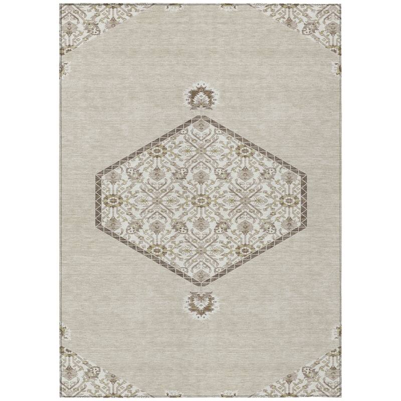 HomeRoots Oriental Traditional Rectangle Outdoor Rug