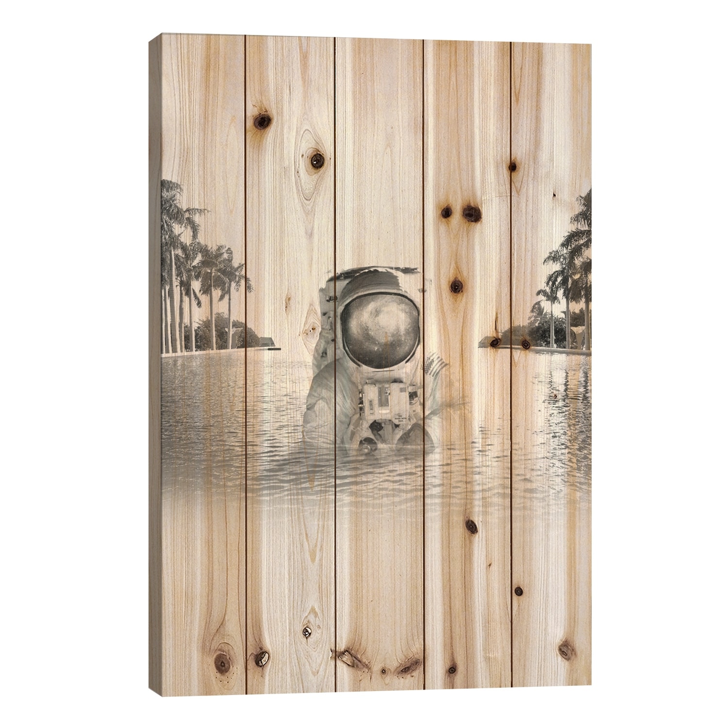 Astronaut Print On Wood by Fran Rodriguez - Multi-Color