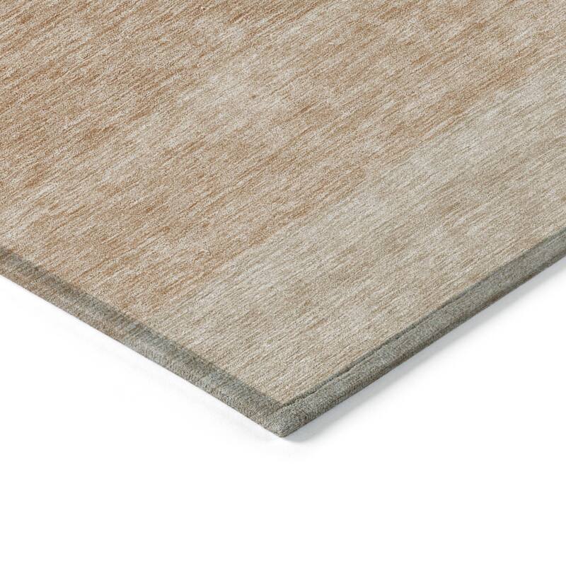 HomeRoots Ombre Transitional Rectangle Outdoor Rug