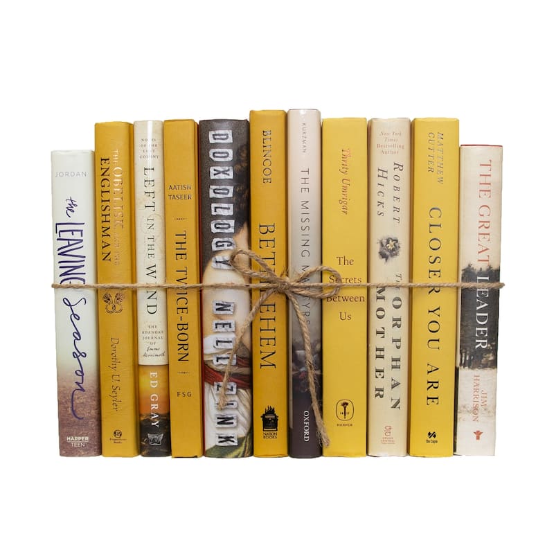 Books Yellow Decorative Accessories: Goldenrod Mixed Media ColorPak