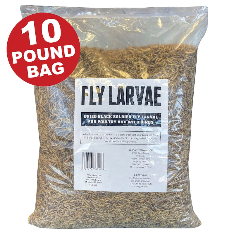 10 LB Dried Black Soldier Fly Larvae - 10 lbs