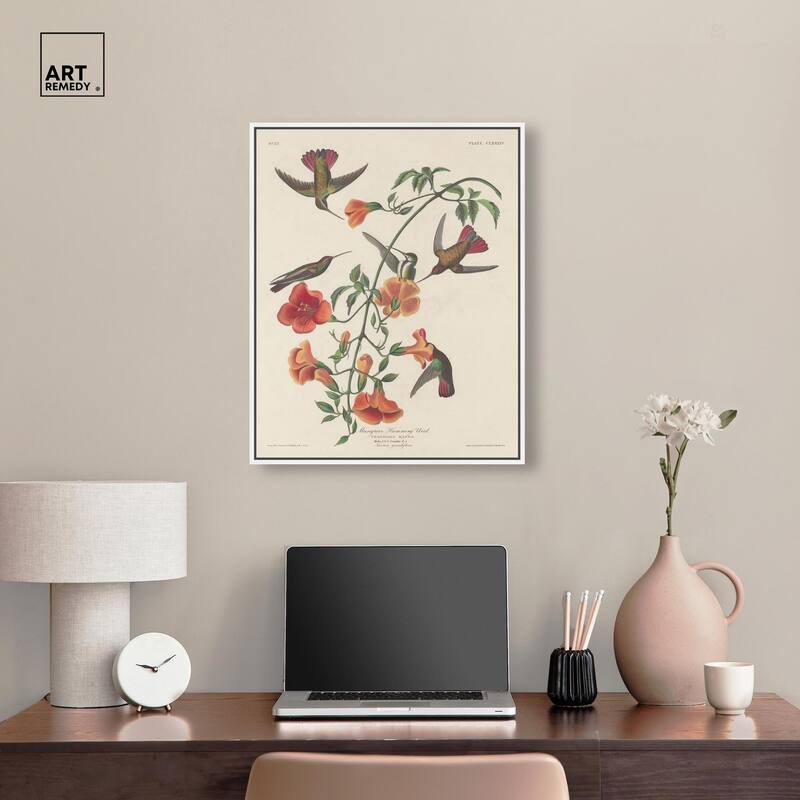 Humming Bird 1834 Canvas by Art Remedy