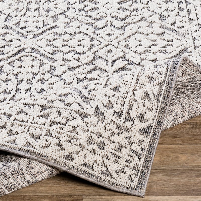 Hanks Indoor/ Outdoor Traditional Area Rug
