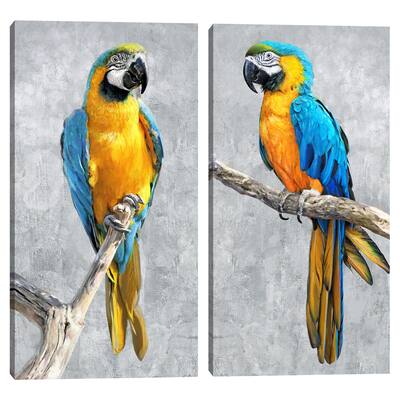 Tropical Parrots-I & II by Studio Arts Canvas Art Prints