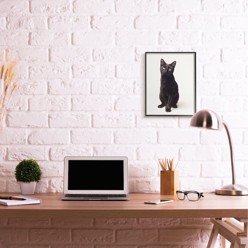 Stupell Cute Black Cat Expressive Eyes Pet Portrait Framed Giclee Texturized Art by Marika Moffit