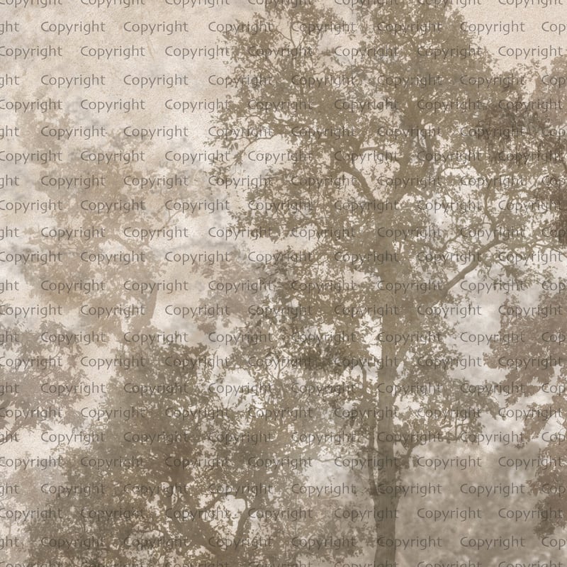 Ethereal Forest Mist Wallpaper Mural - Brown - W:204" x H:110"