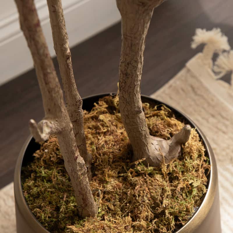 Kate and Laurel Oliveira Faux Olive Tree