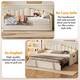 Option Beige