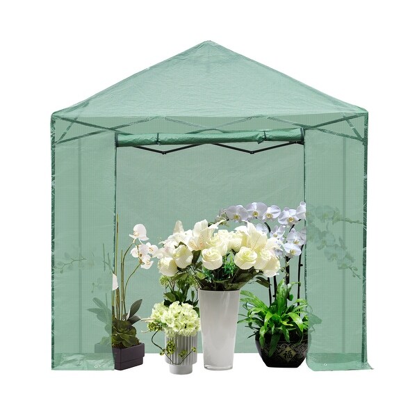 Global Pronex 8x8FT Walk-in Green House Tunnel Garden ...