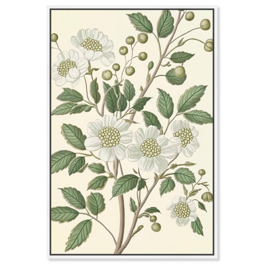 White Cherokee IV Canvas by Art Remedy