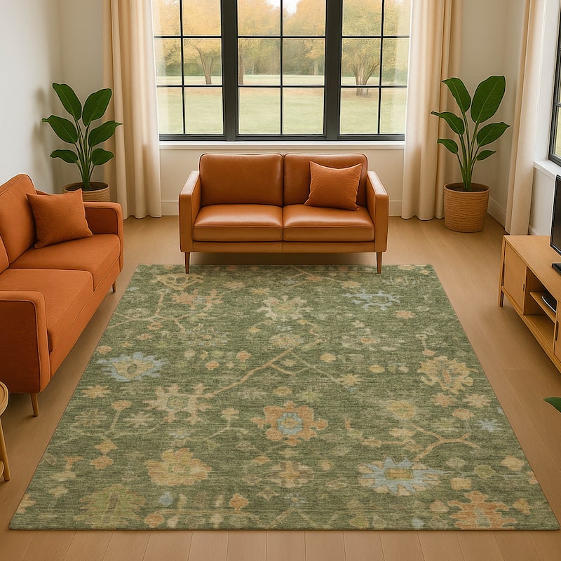 Premium Washable Super Soft Farmhouse Traditional Mayfield Rug - Fern - 3' x 5'