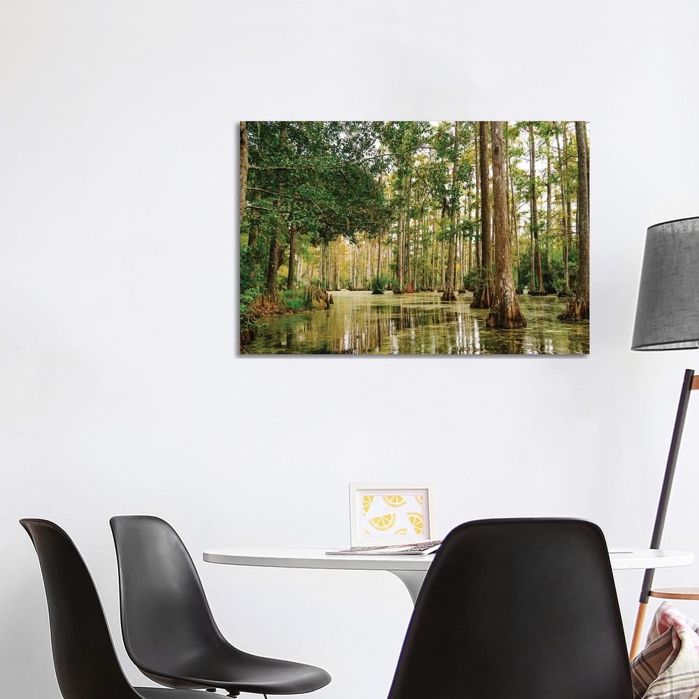 iCanvas "Charleston Cypress Gardens XLI" by Bethany Young Canvas Print