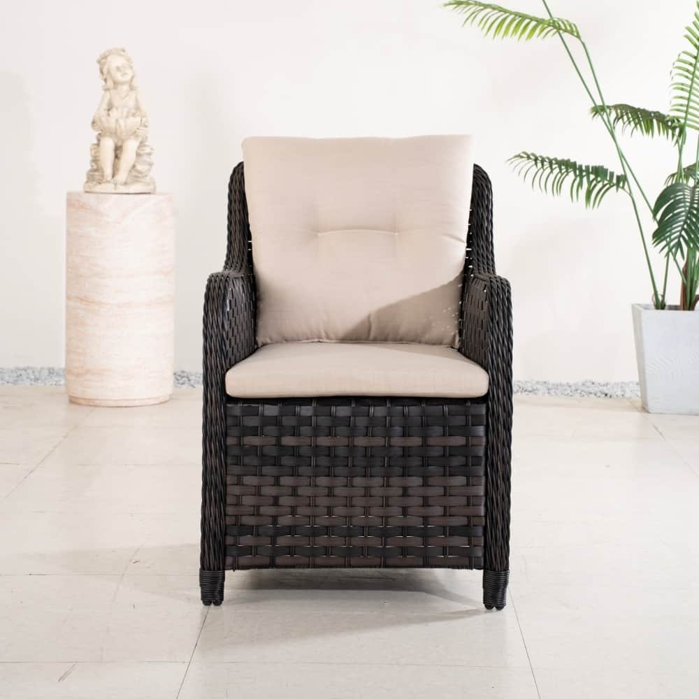 2-piece Modern Patio Aluminum Frame Wicker Dining Chairs